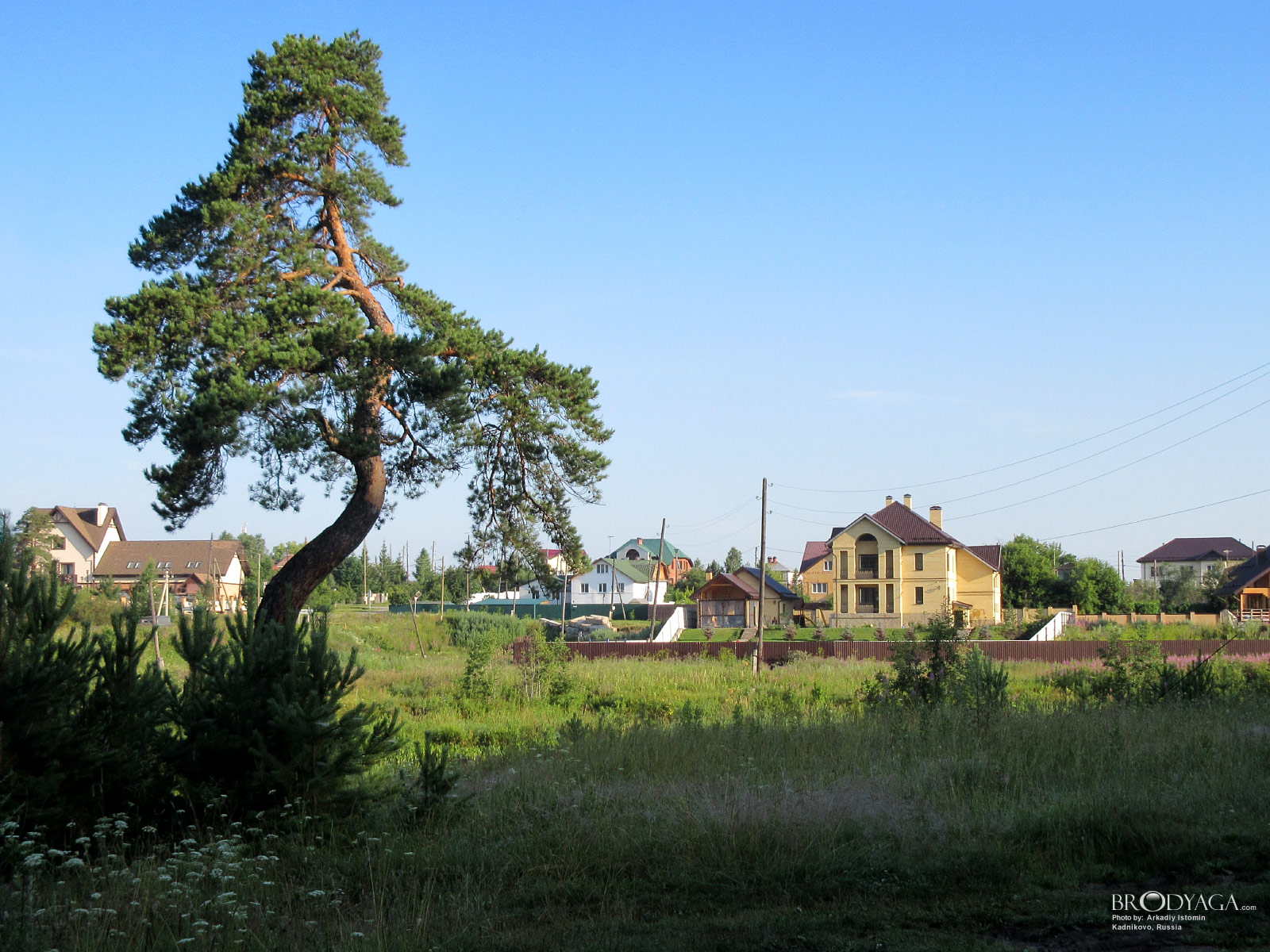 Kadnikovo (Кадниково)